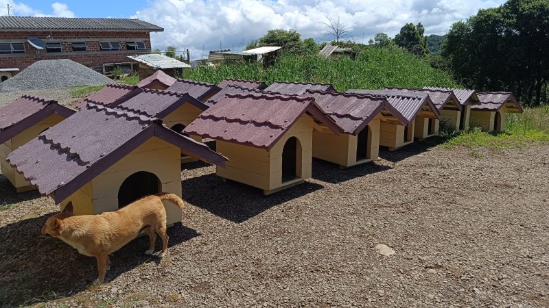 Canis e casinhas em área de abrigo animal